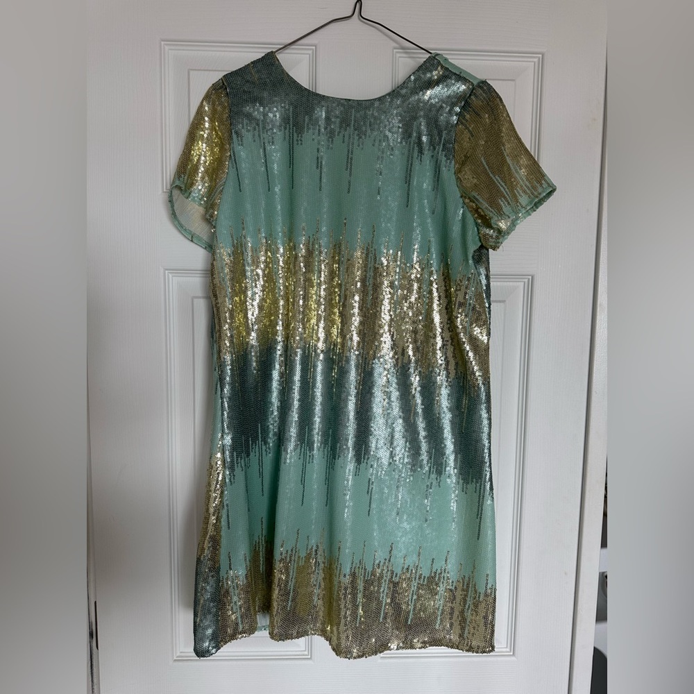 Show me your mumu sequin mini dress